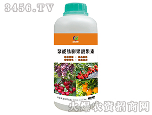 ����������n���أ��͑����ƣ�-�����r(n��ng)��