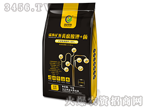 ̼ø�VԴ�S�����+��-�����r(n��ng)��