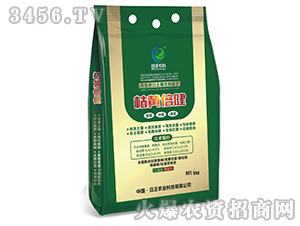 ���S����-�����r(n��ng)�I(y��)