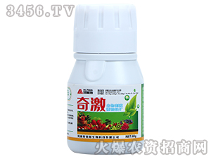 60g����̼������F�V-�漤-������