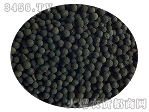 ������w��-�𚤻���