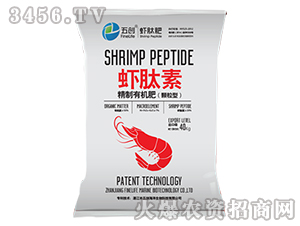 �����ЙC(j��)��-�r����-�儓(chu��ng)