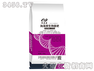 ����΢�������-ʩ��ɭ-��ɭ��