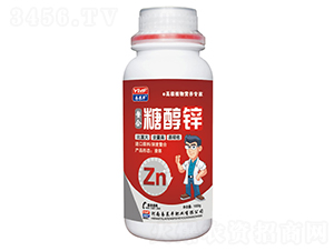 �����Ǵ��\-���R�S