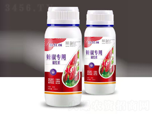 �������ô߼t��-��t�-��M�}(c��ng)