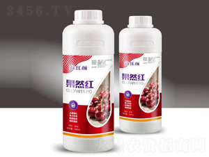 ��Ȼ�t-��t�-��M�}(c��ng)