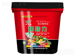 ����(d��ng)��-������-һ������