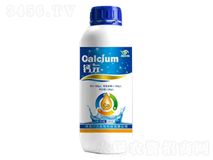 �}Ԫ-������-һ������