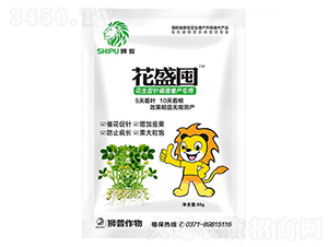 花生促針調(diào)理增產(chǎn)專用葉面肥-花盛囤-獅普