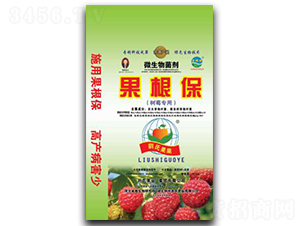 ΢�����������ݮ���ã�-������-���Ϲ��I(y��)