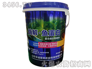 酶解魚蛋白-華潤榮邦