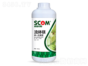 ���w�V-˹��ķ