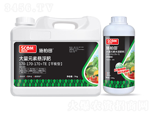 ƽ���ʹ���Ԫ�ؑҸ���170-170-170+TE-ʩ����-˹��ķ