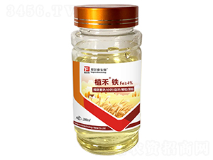 ֲ���F-�̩