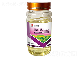 ֲ����-�̩