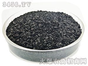 ���徫ԭ��-��ʥ