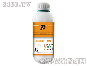 ����-Ӣ������-����