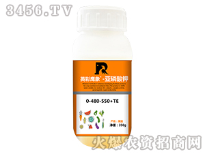 �������-Ӣ������-����