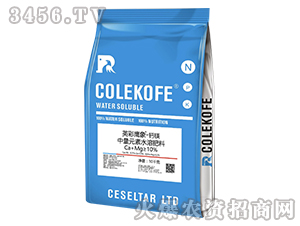 �}�V����Ԫ��ˮ�ܷ�-Ӣ������-����