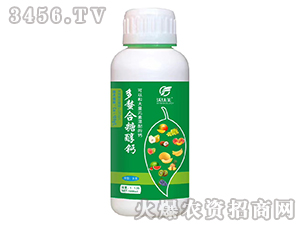 �������Ǵ��}-�����