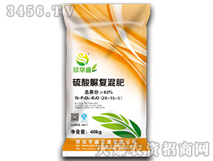 ������ͻ��20-15-5-���Aʢ