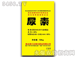 ����-��Z�S