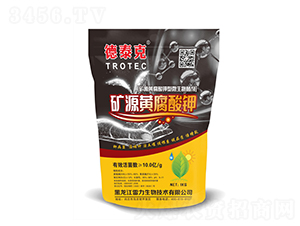 �VԴ�S�����-��̩��-��������