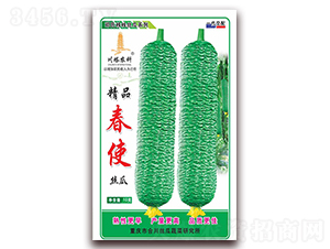 精品春使-絲瓜種子-川塔農(nóng)科