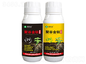 �۹Ƚ��ȫ����-�����_