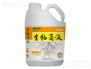 �����������Һ-�Z��