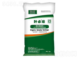 ΢�������-�~�ؾG