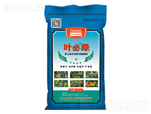 ��Ԫ��ˮ���Թ��ܷ���-�~�ؾG