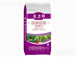 �ͺϷ���-ħ����-ϣ������