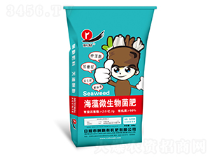 ����΢�������-����