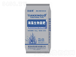 �����������-������-�����