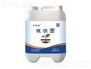 ��Դ��-������-�����