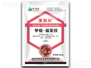 ���򡤸����p-ʥ����-�r���_