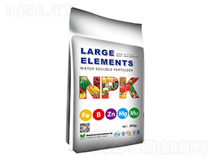 �~���-�ɴ�����