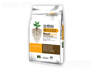 ������-�䠖-�|����(r��n)��