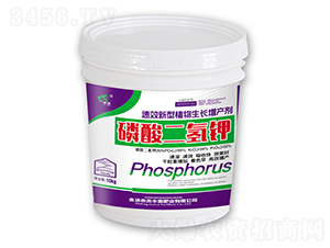 10kg��������-���SԴ