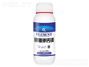 1000g�\����}�V-���SԴ