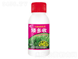 100ml小麥油菜專用矮多收-禾豐源