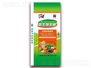 �þ����ЙC(j��)��-���t-�Ϻ�����