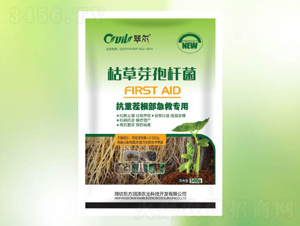 �ݲ�ѿ���U��-�䠖-�|����(r��n)��