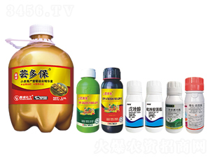 С���߮a(ch��n)�ײͣ�ʮ���w����-�|�ౣ-���\(ch��ng)���� 