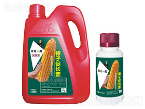 ���װ��Ӵ��L(zh��ng)��-�Ƿ�һƿ-������(gu��)�H