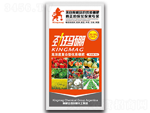 �Ŭ���-��(��i)��