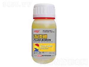 ���w��-�̲���-���̷ʘI(y��)