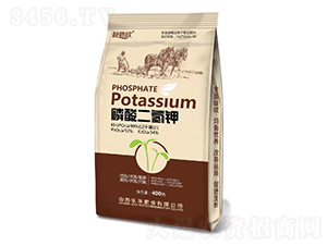 ��������-�̲���-���̷ʘI(y��)