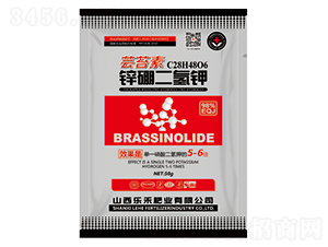 �|̦���\������-���̷ʘI(y��)